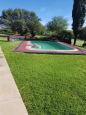 FB_IMG_1648062360866