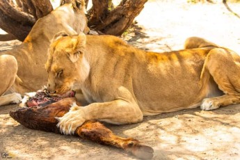 FB_IMG_1648065184505