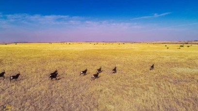 FB_IMG_1648065192938