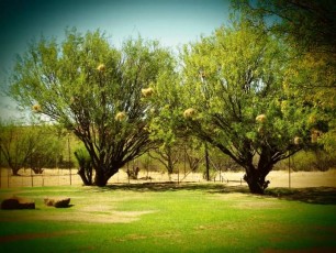 FB_IMG_1648065268596